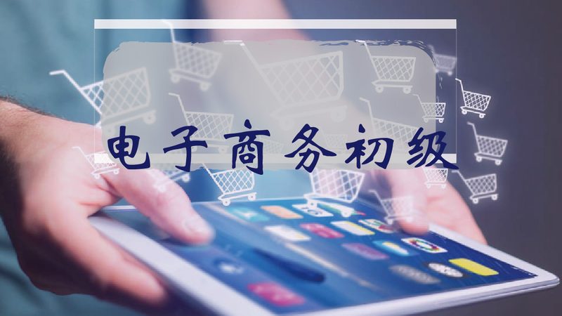 上海天猫代运营，揭秘高效服务流程