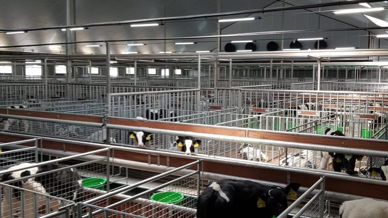 天猫代运营店铺装修：揭秘分类报价背后的逻辑